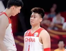 广东宏远辽宁男篮视频